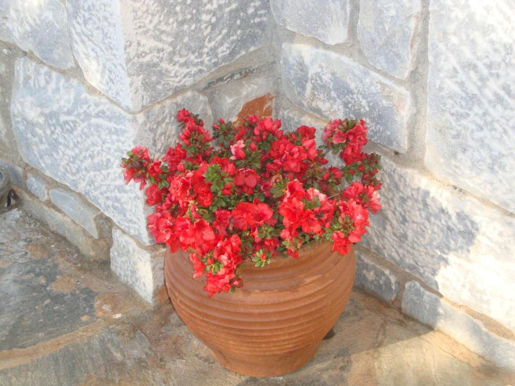 Kafiona Guesthouse Pyrgos Dirou Экстерьер фото