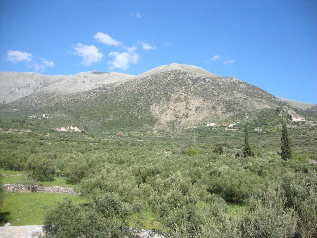 Kafiona Guesthouse Pyrgos Dirou Экстерьер фото